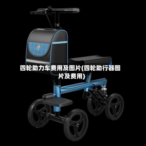 四轮助力车费用及图片(四轮助行器图片及费用)-第3张图片