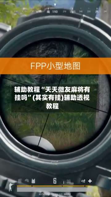 辅助教程“天天微友麻将有挂吗”(其实有挂)辅助透视教程-第3张图片