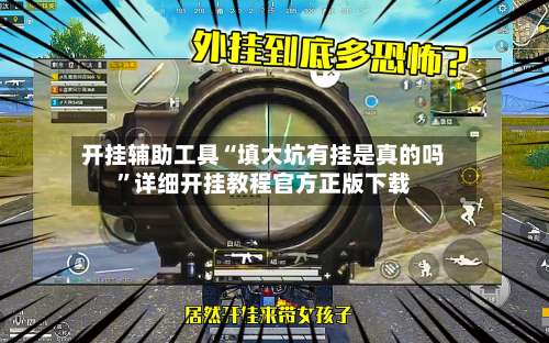开挂辅助工具“填大坑有挂是真的吗”详细开挂教程官方正版下载-第3张图片
