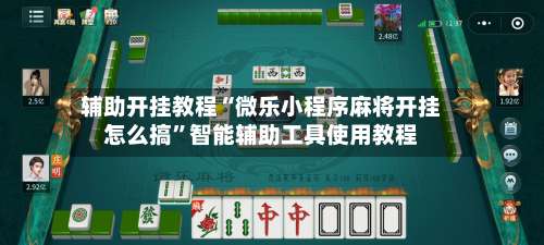 辅助开挂教程“微乐小程序麻将开挂怎么搞”智能辅助工具使用教程-第2张图片