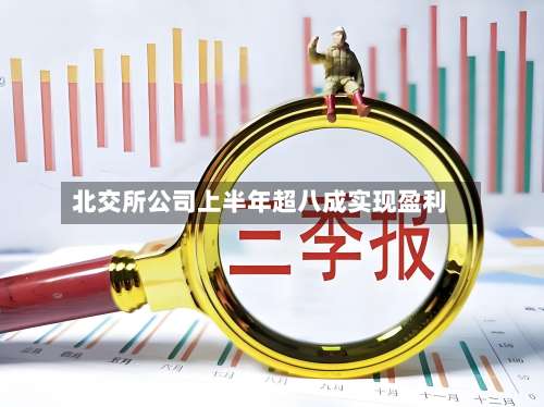 北交所公司上半年超八成实现盈利-第2张图片