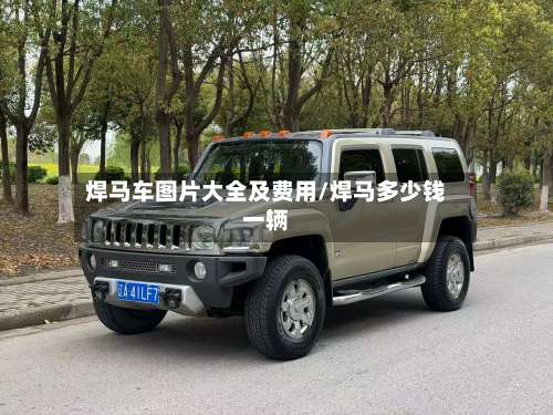 焊马车图片大全及费用/焊马多少钱一辆
