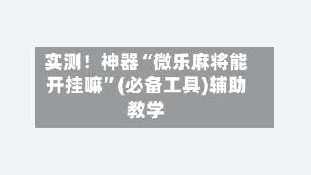 实测！神器“微乐麻将能开挂嘛	”(必备工具)辅助教学-第2张图片