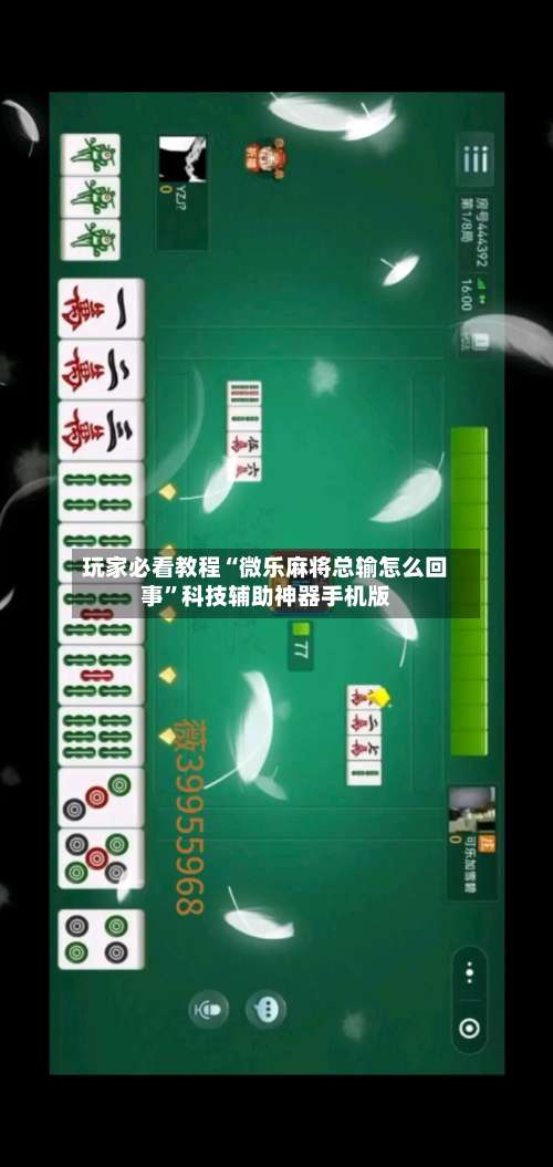 玩家必看教程“微乐麻将总输怎么回事”科技辅助神器手机版-第2张图片