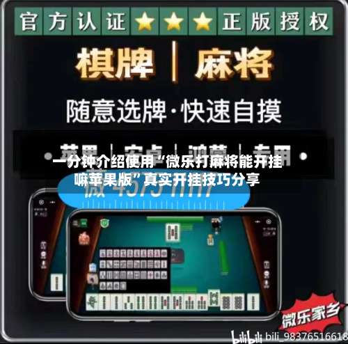 一分钟介绍使用“微乐打麻将能开挂嘛苹果版”真实开挂技巧分享-第2张图片