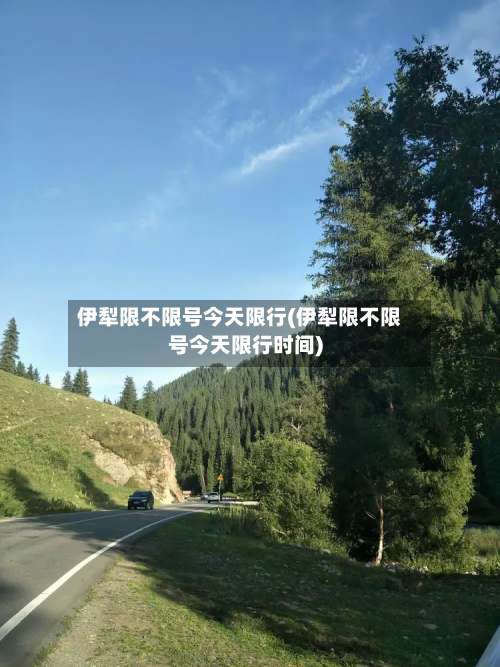 伊犁限不限号今天限行(伊犁限不限号今天限行时间)-第2张图片