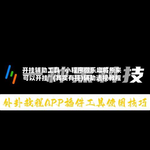 开挂辅助工具“小程序微乐麻将原来可以开挂”(其实有挂)辅助透视教程-第2张图片