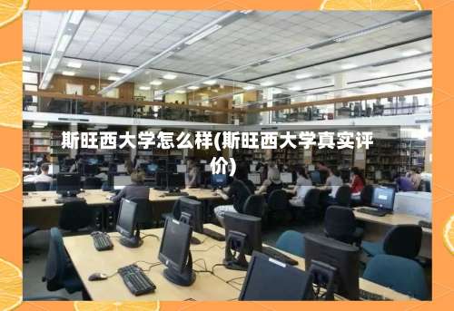 斯旺西大学怎么样(斯旺西大学真实评价)-第3张图片