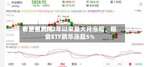 农产品费用有望创2012年以来最大月涨幅	，粮食ETF鹏华涨超5%-第2张图片