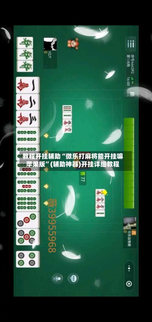 教程开挂辅助“微乐打麻将能开挂嘛苹果版”(辅助神器)开挂详细教程-第2张图片