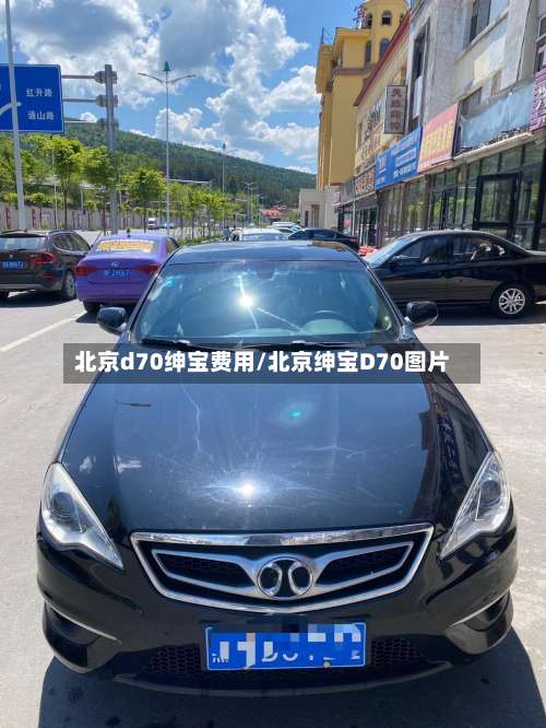 北京d70绅宝费用/北京绅宝D70图片