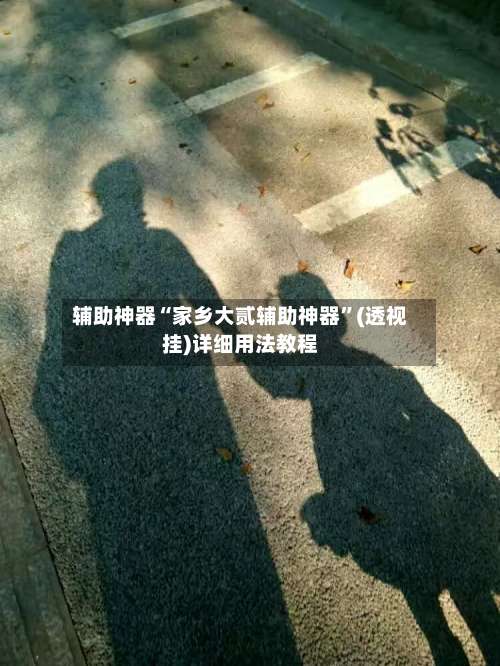 辅助神器“家乡大贰辅助神器”(透视挂)详细用法教程-第3张图片