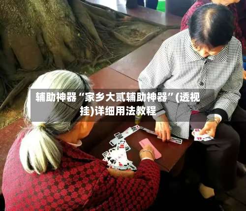 辅助神器“家乡大贰辅助神器	”(透视挂)详细用法教程-第2张图片