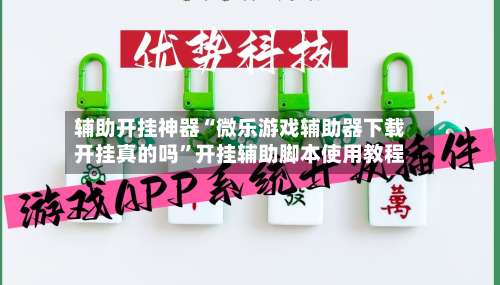 辅助开挂神器“微乐游戏辅助器下载开挂真的吗	”开挂辅助脚本使用教程-第2张图片
