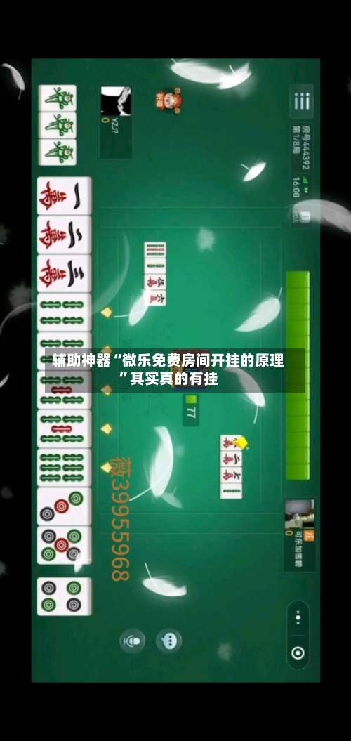辅助神器“微乐免费房间开挂的原理”其实真的有挂-第2张图片