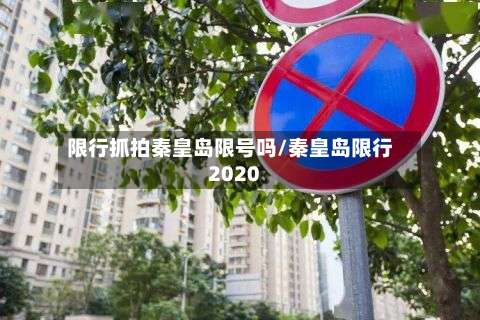 限行抓拍秦皇岛限号吗/秦皇岛限行2020-第3张图片