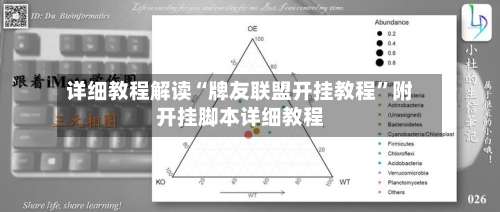详细教程解读“牌友联盟开挂教程”附开挂脚本详细教程-第2张图片