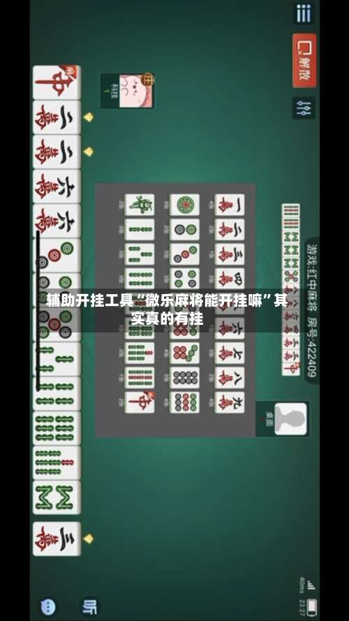 辅助开挂工具“微乐麻将能开挂嘛	”其实真的有挂-第2张图片