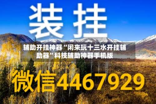 辅助开挂神器“闲来玩十三水开挂辅助器	”科技辅助神器手机版-第2张图片