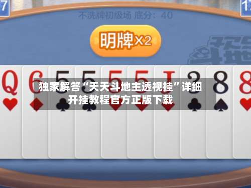 独家解答“天天斗地主透视挂”详细开挂教程官方正版下载-第2张图片
