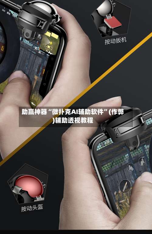 助赢神器“微扑克AI辅助软件”(作弊)辅助透视教程-第2张图片