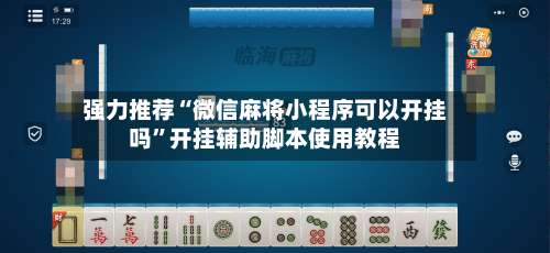 强力推荐“微信麻将小程序可以开挂吗”开挂辅助脚本使用教程-第3张图片