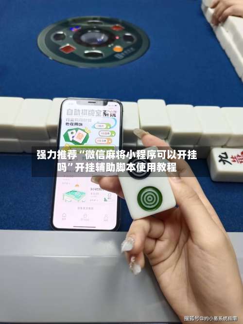 强力推荐“微信麻将小程序可以开挂吗	”开挂辅助脚本使用教程-第2张图片